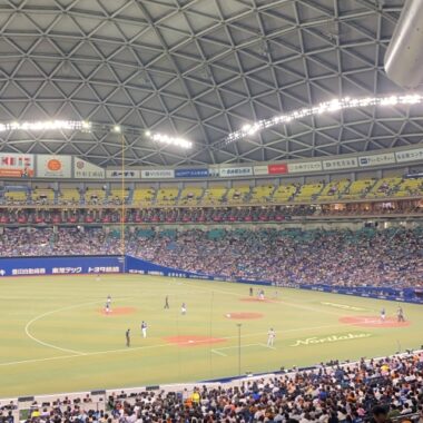 プロ野球が開幕しました