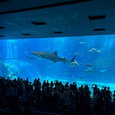 美ら海水族館
