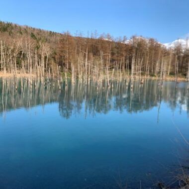 青い池
